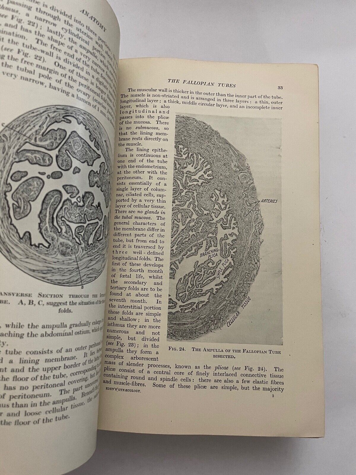 Eden and Lockyer's Gynaecology by Beckwith and Whitehouse