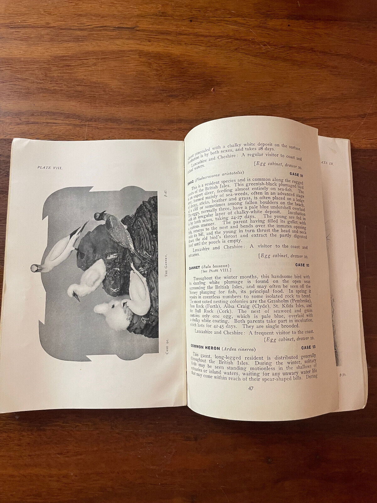 Handbook and Guide to the British Birds on Exhibition by Joseph Clubb