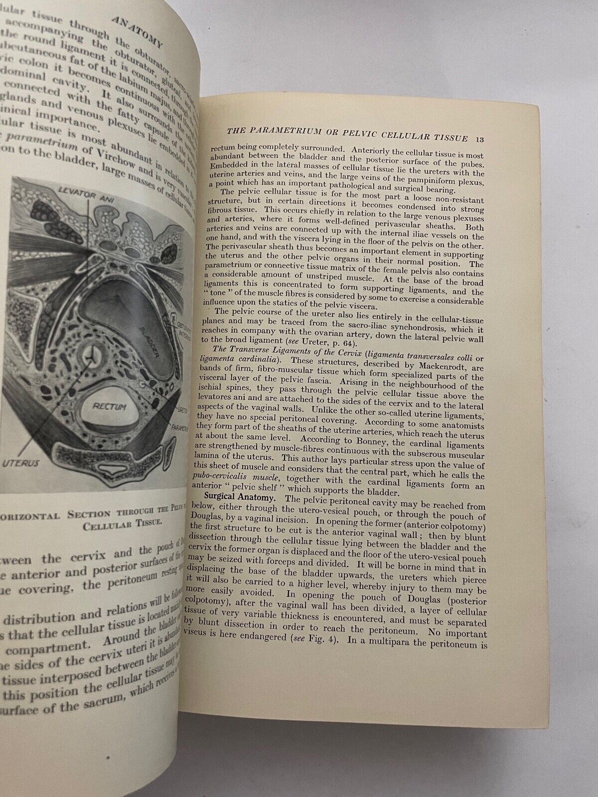 Eden and Lockyer's Gynaecology by Beckwith and Whitehouse