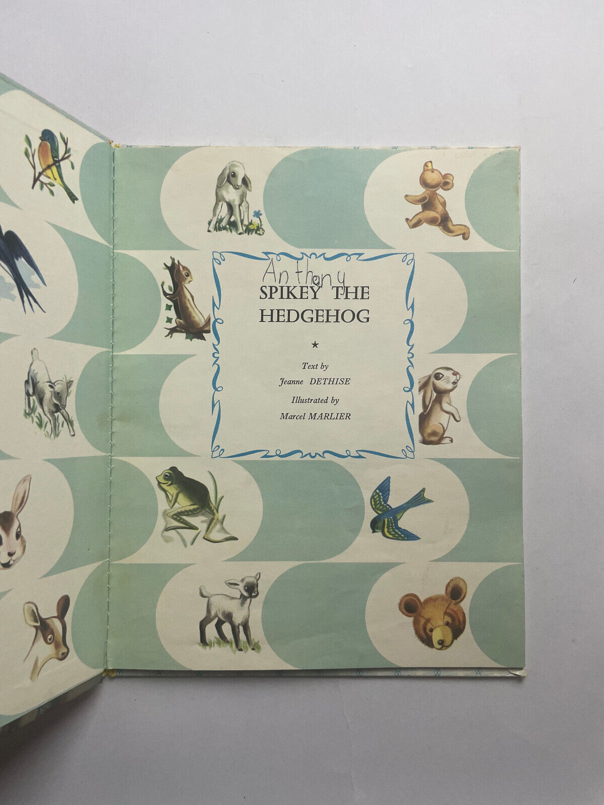 Spikey the Hedgehog (Panda Books) by Dethise, Jeanne