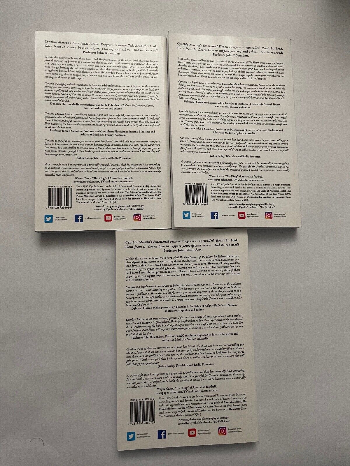 3 book set Cynthia J. Morton The Four Seasons of the Heart Change Sadness Growth