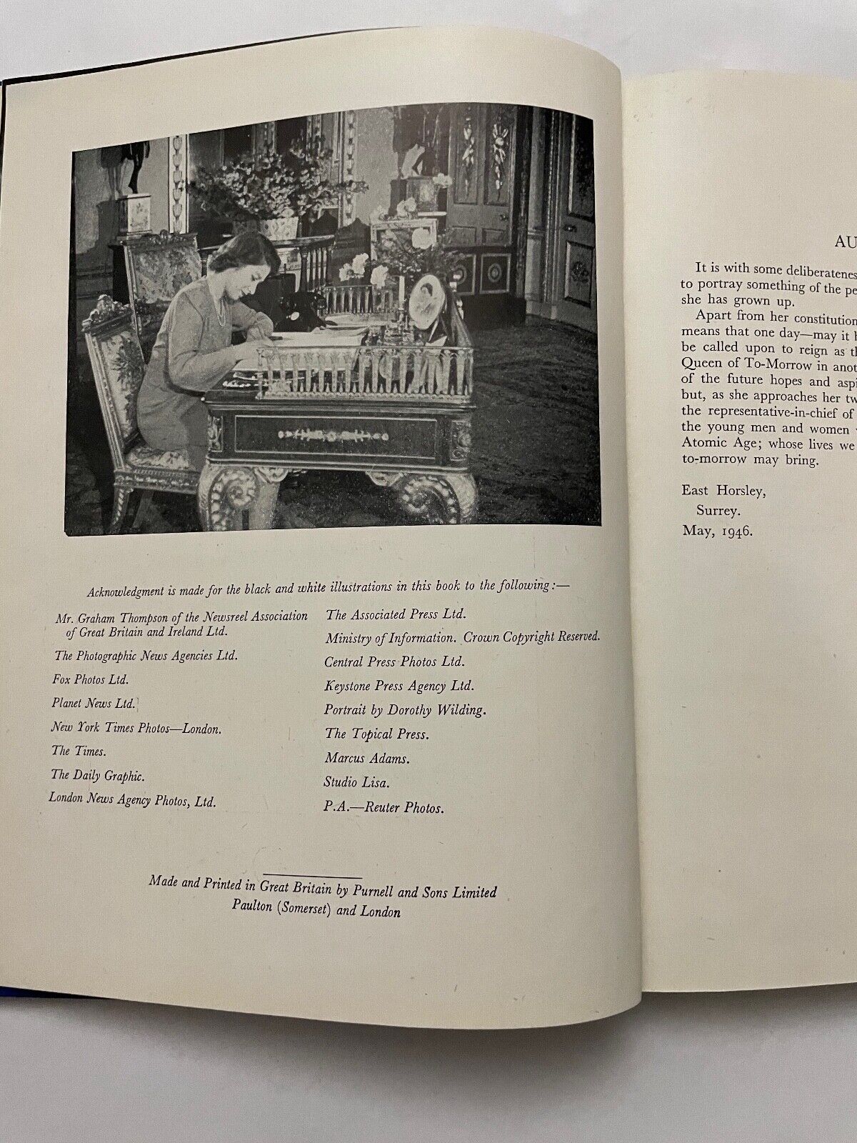 Queen of To-morrow by Louis Wulff