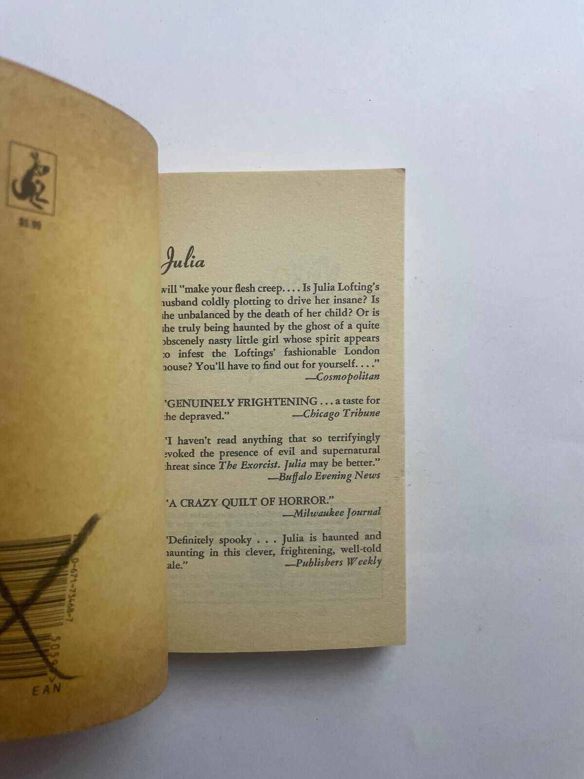 Peter Straub - Julia - Pocket Books - 1976 Vintage Horror Paperbacks