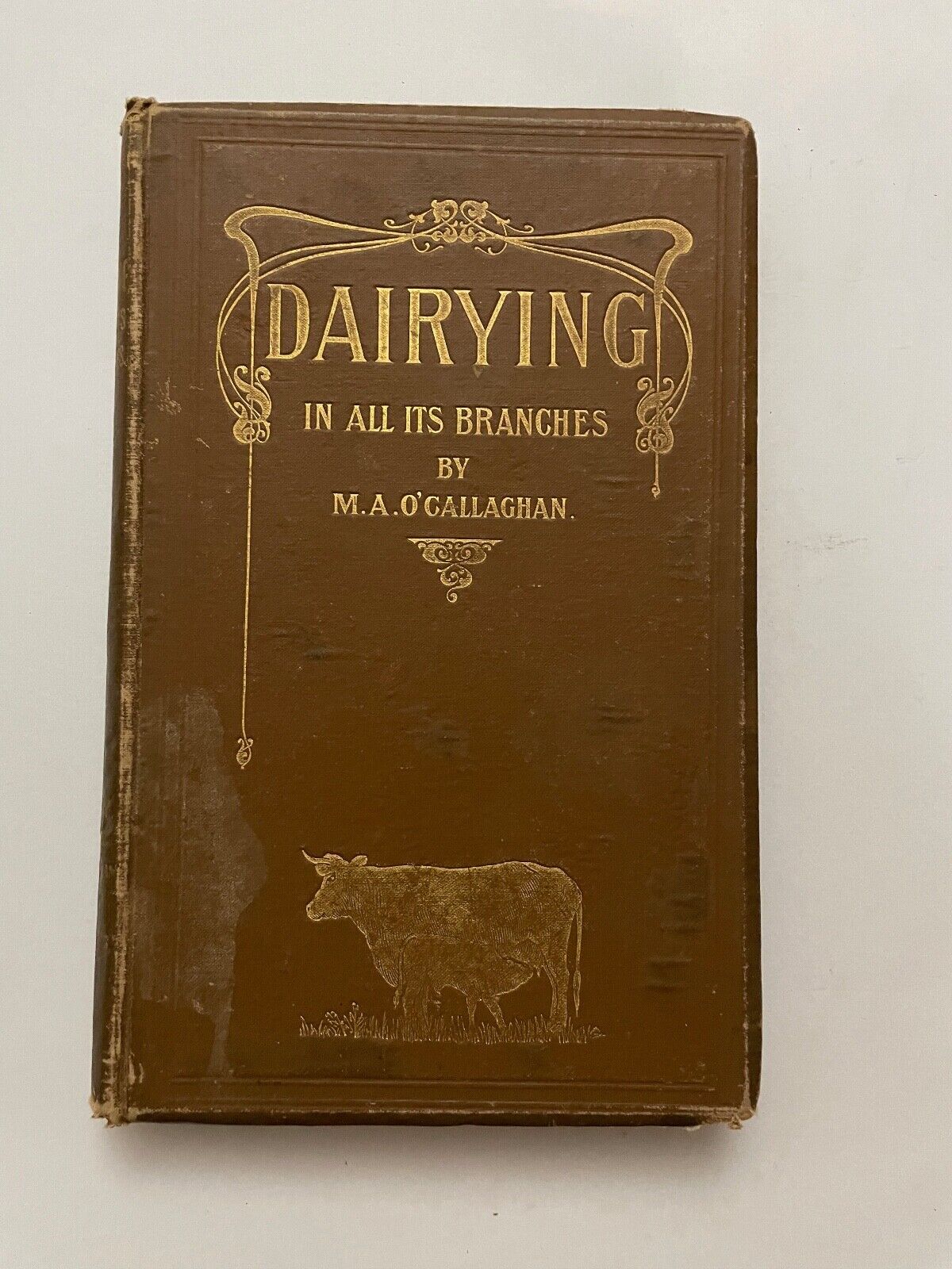 Dairying in All Its Branches; With Special Reference to Australian Conditions by
