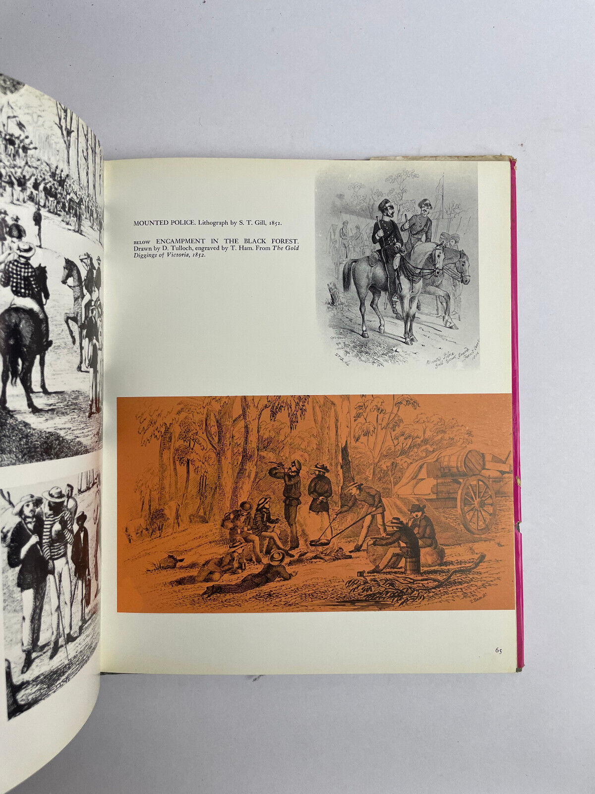 Duck & Cabbage Tree History Clothes in Australia 1788 - 1914 / Cedric Flower HCD