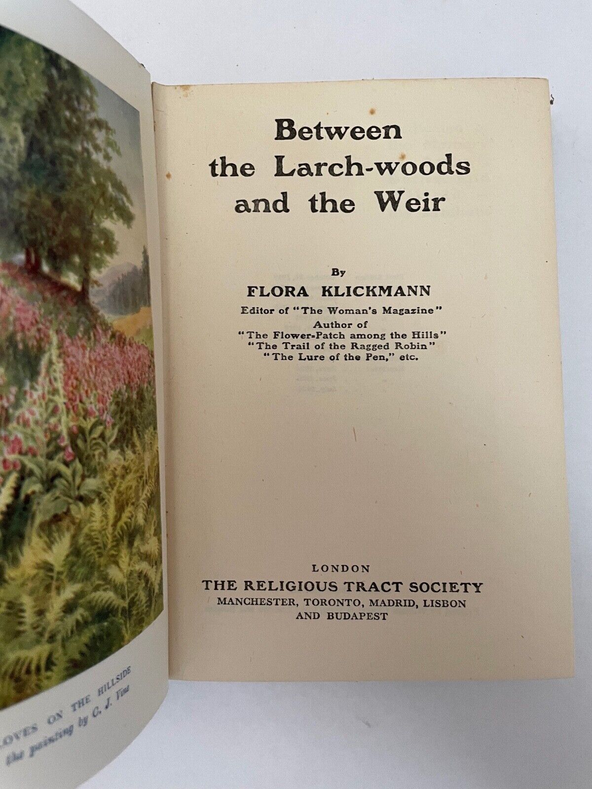 Between the Larch-Woods and the Weir by Flora Klickmann 1926