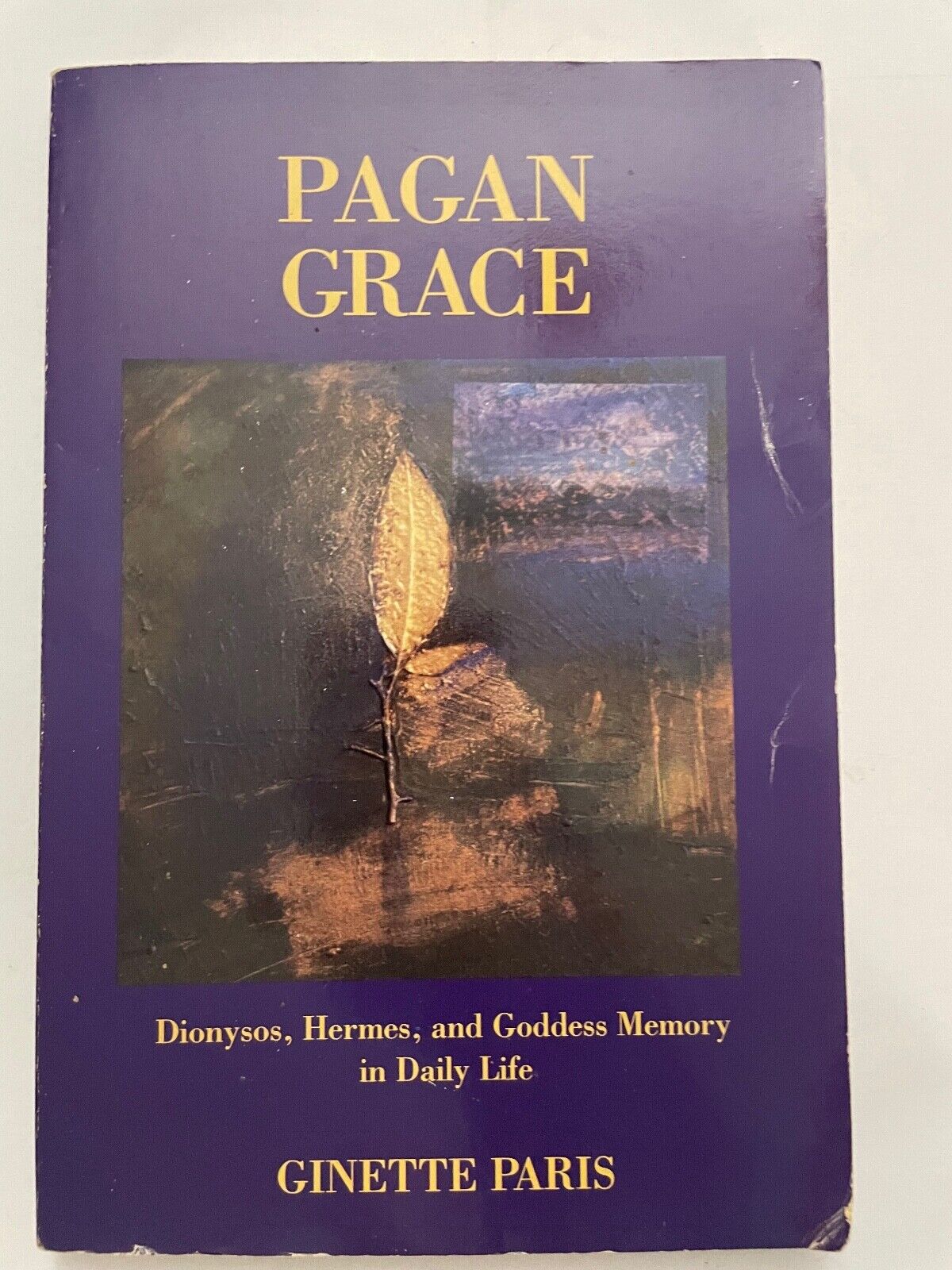 Pagan Grace: Dionysus, Hermes and Goddess Memory in Daily Life by Paris, Ginette