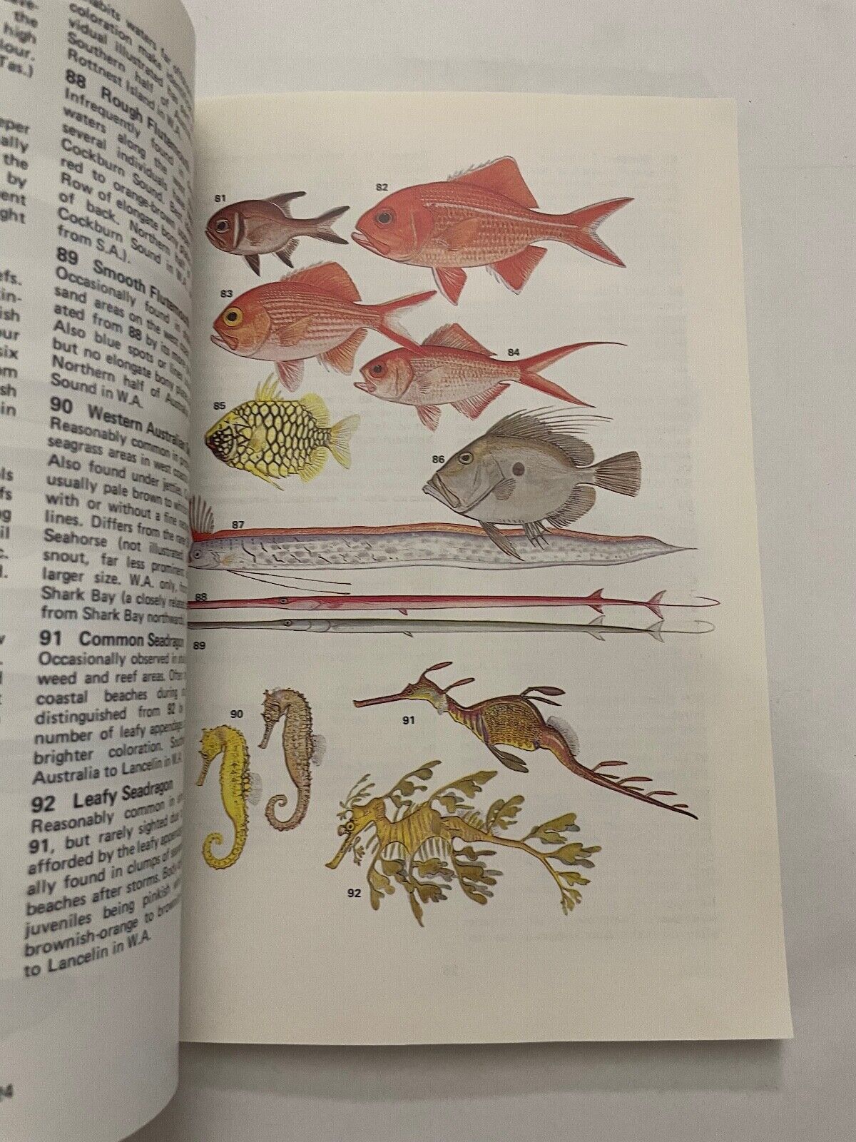 Marine and Estuarine Fishes of South-western Australia: A Field Guide for...