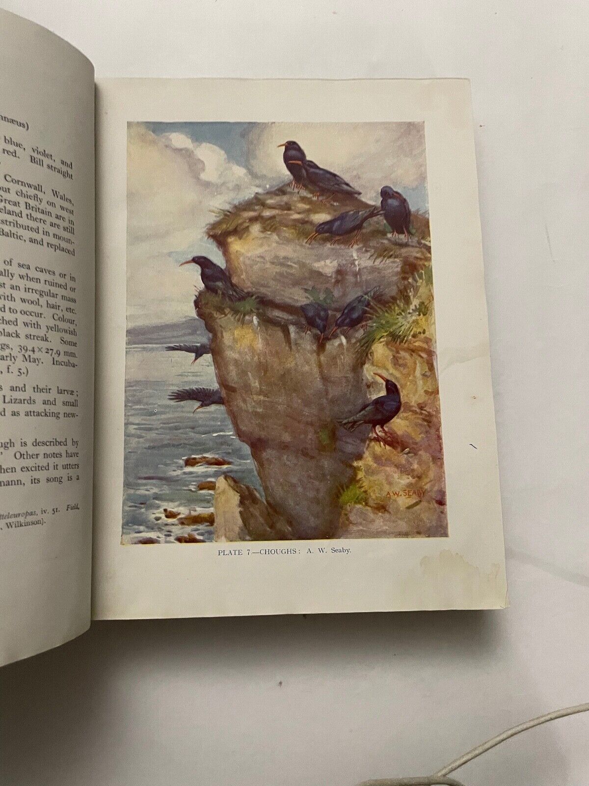 British Birds by F.B. Kirkman and F.C.R. Jourdain (Hardcover, 1944)