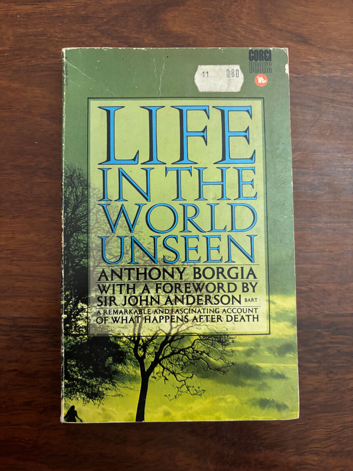 Life in the World Unseen by Anthony Borgia – Northam Secondhand 