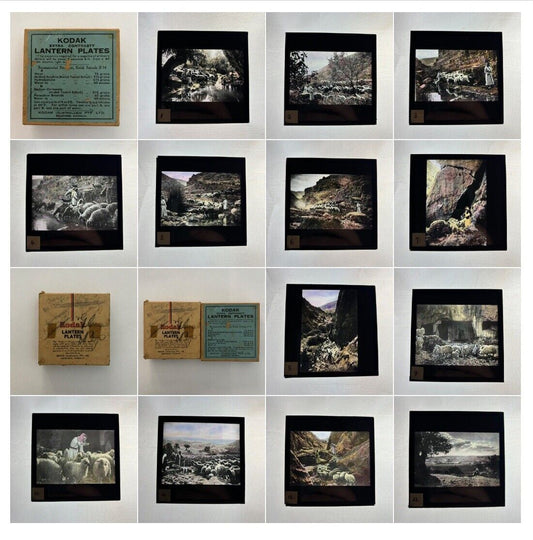 The Lord Is My Shepherd Magic Lantern Slide Set