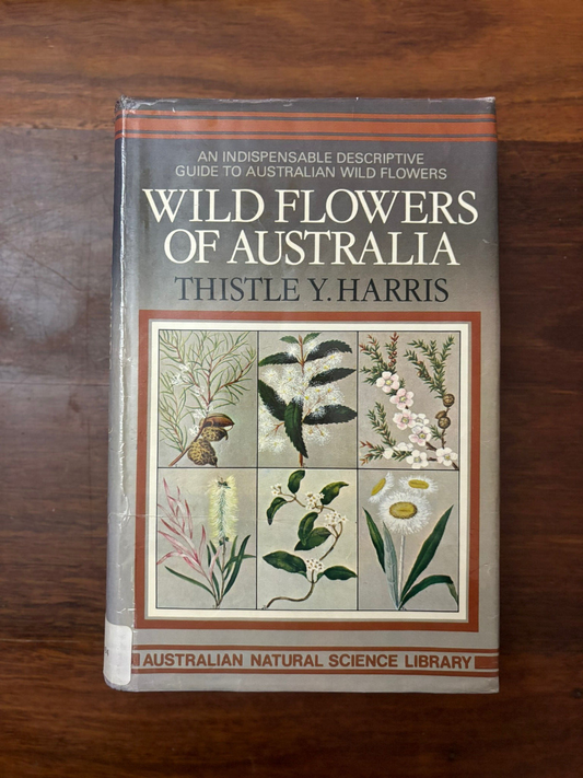 Wildflowers Of Australia By Thistle Y Harris