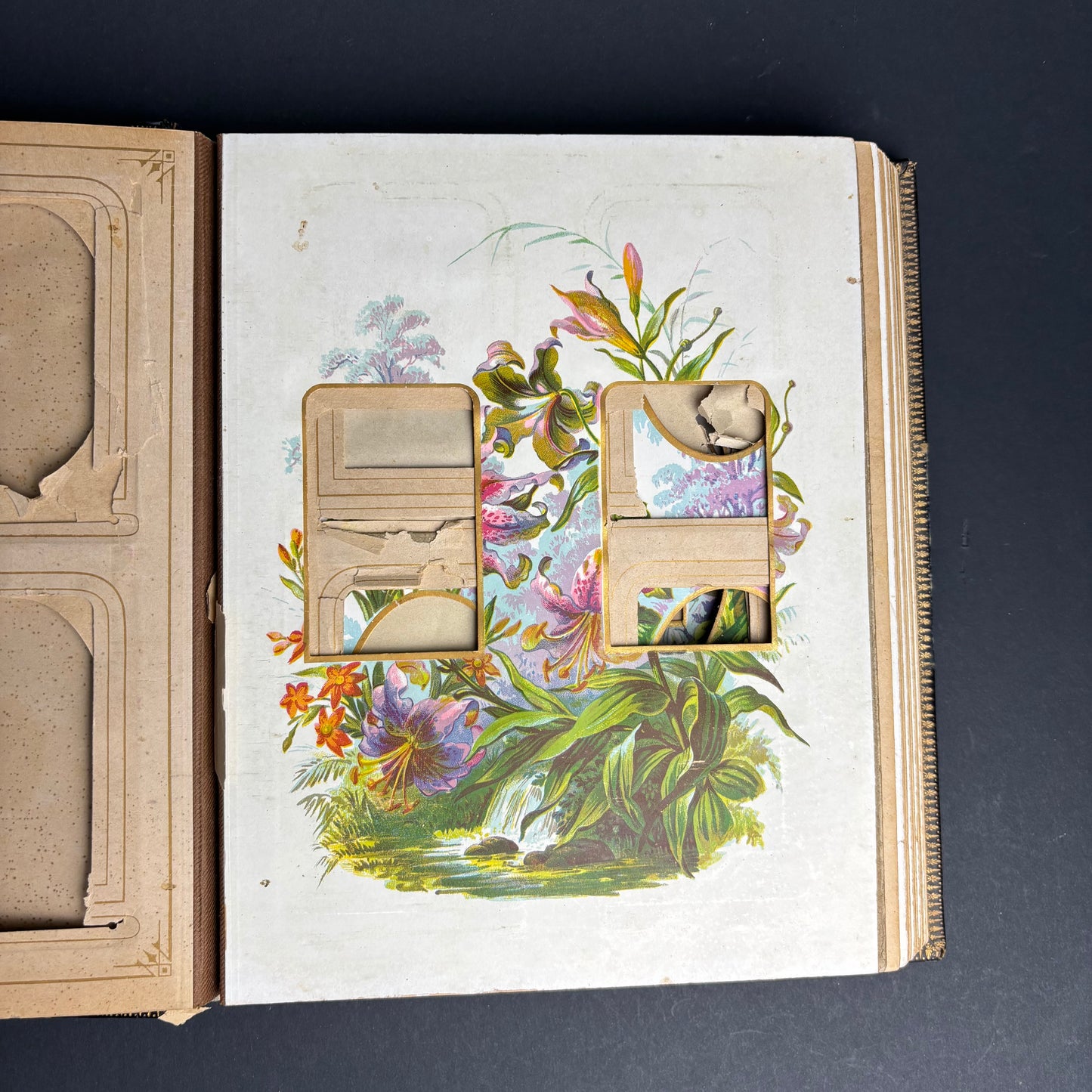 Victorian Leather Photograph Album c.1880s – Embossed Gilt Cover