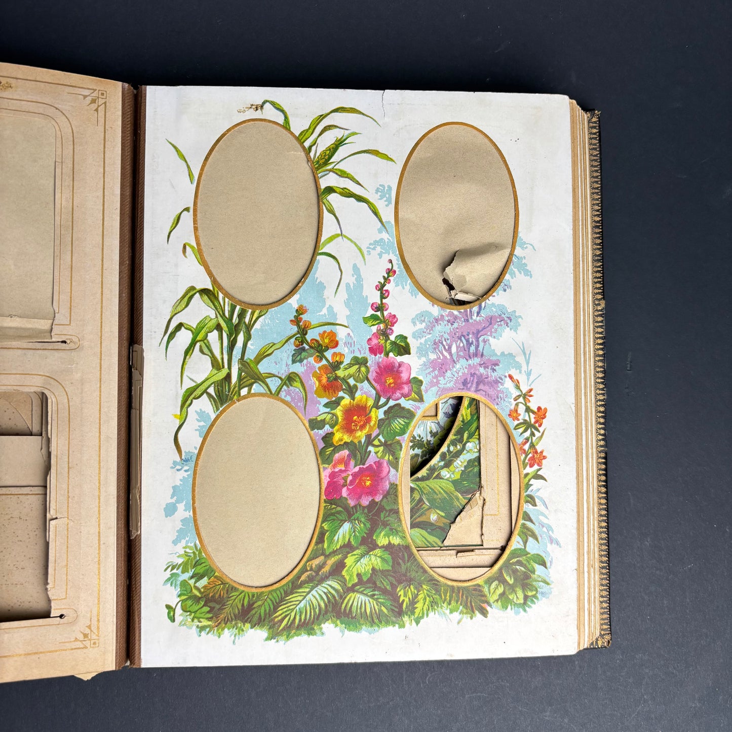 Victorian Leather Photograph Album c.1880s – Embossed Gilt Cover