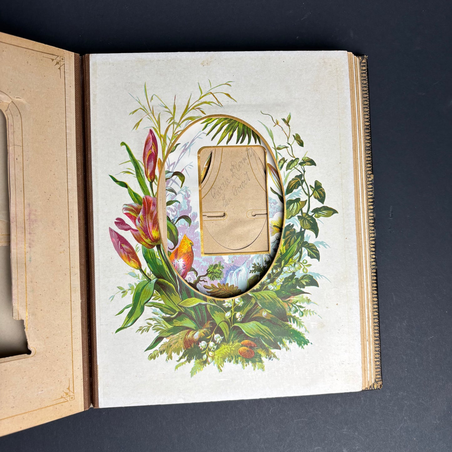 Victorian Leather Photograph Album c.1880s – Embossed Gilt Cover