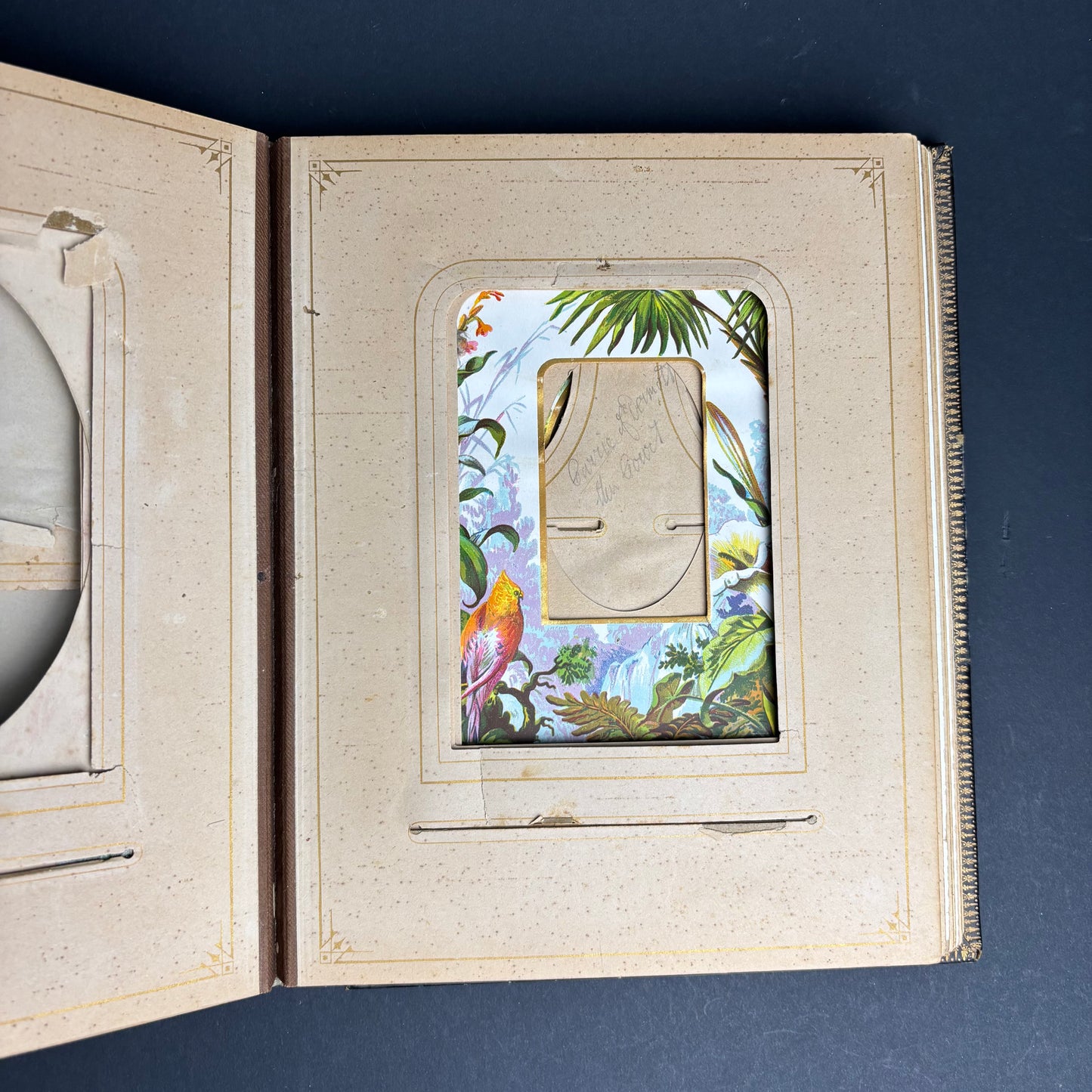 Victorian Leather Photograph Album c.1880s – Embossed Gilt Cover