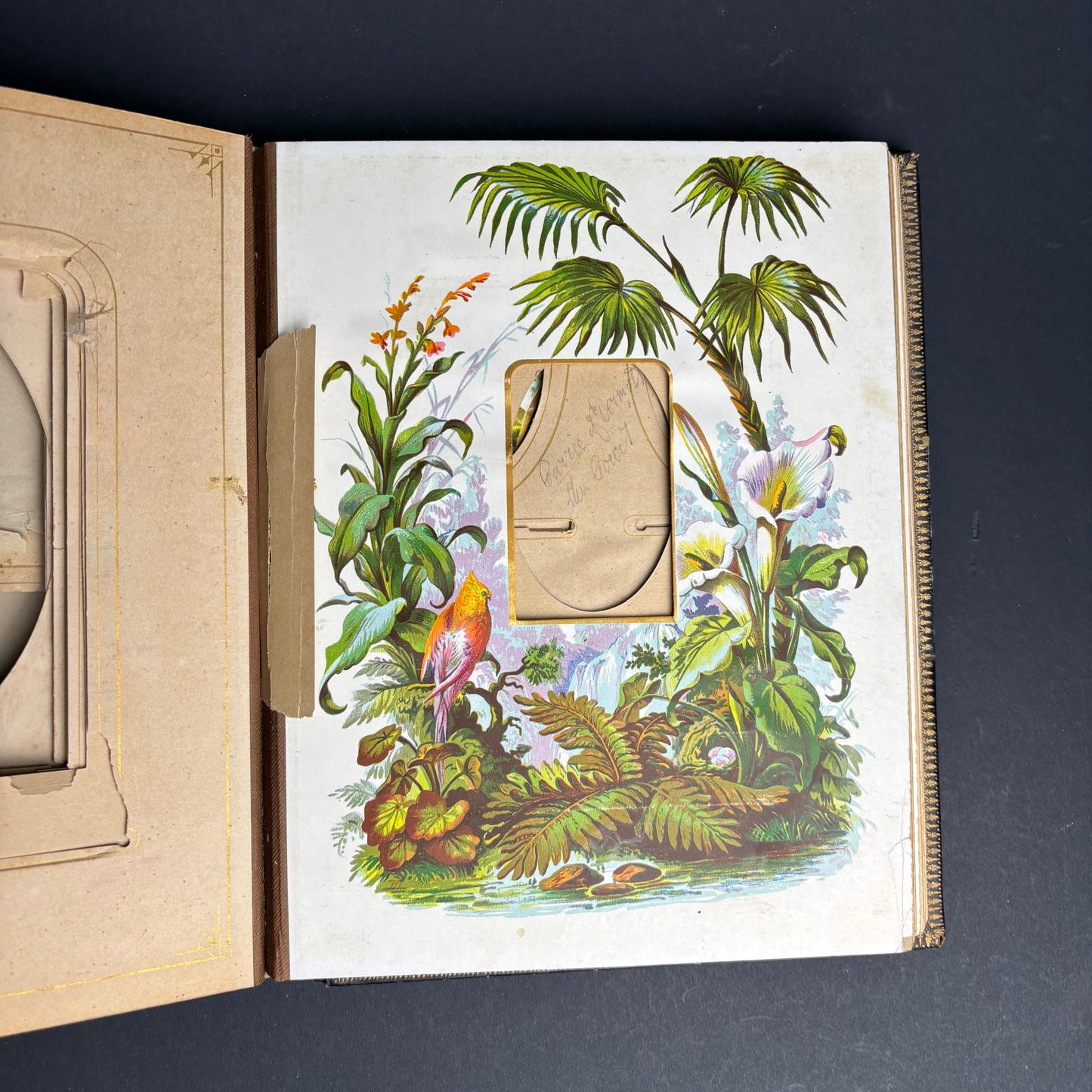 Victorian Leather Photograph Album c.1880s – Embossed Gilt Cover