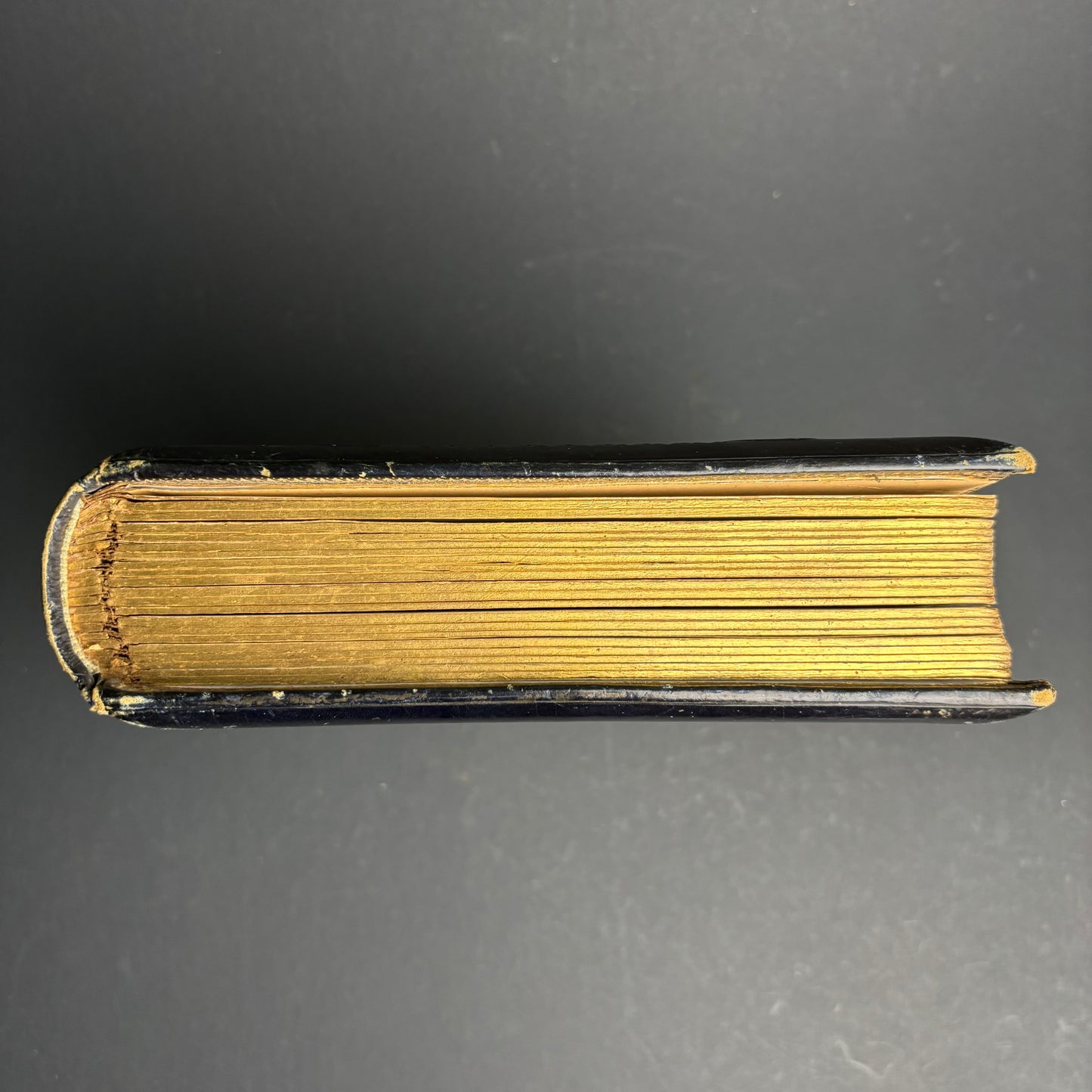 Victorian Leather Photograph Album c.1880s – Embossed Gilt Cover