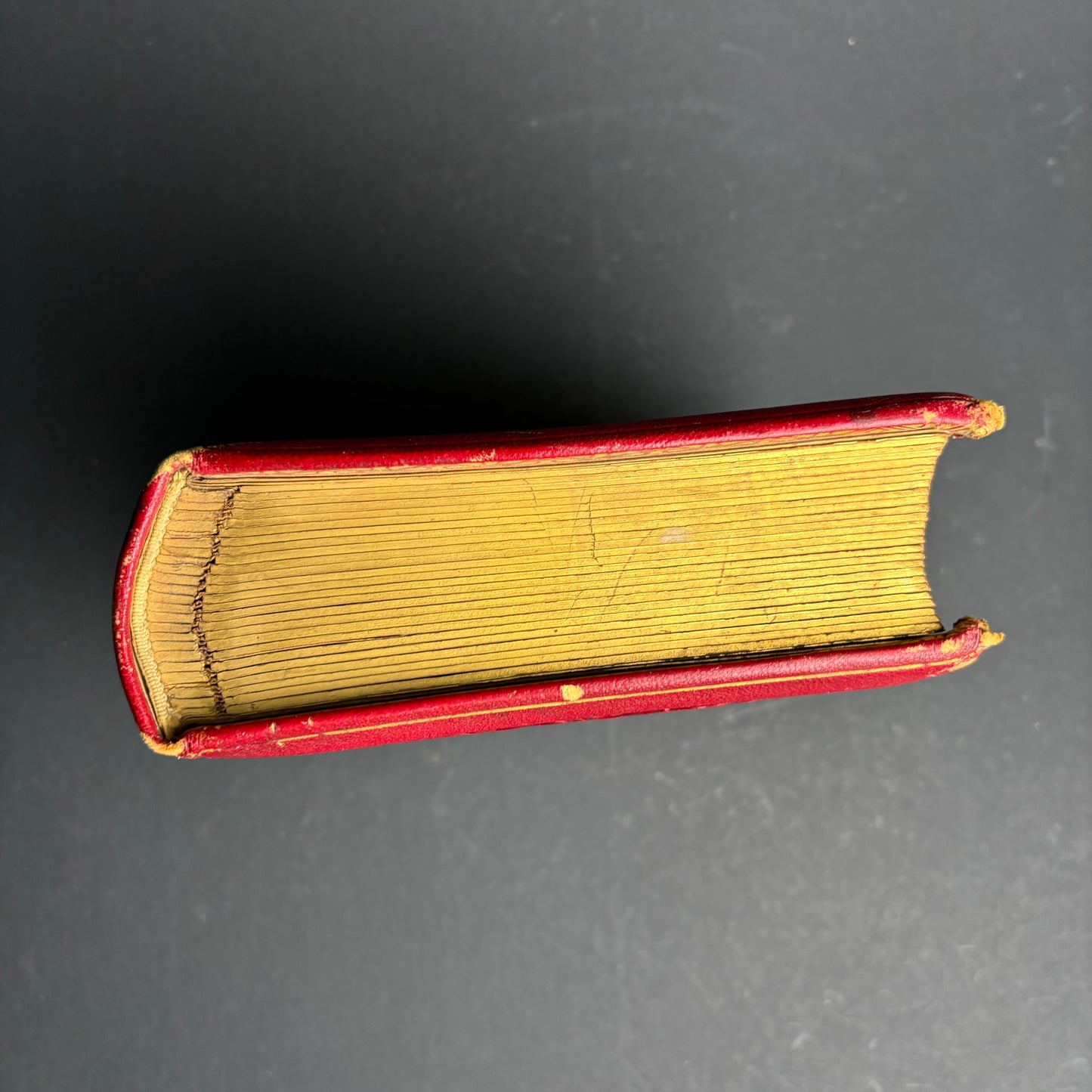 Antique Victorian Leather Photograph Album with Brass Clasp – c1890