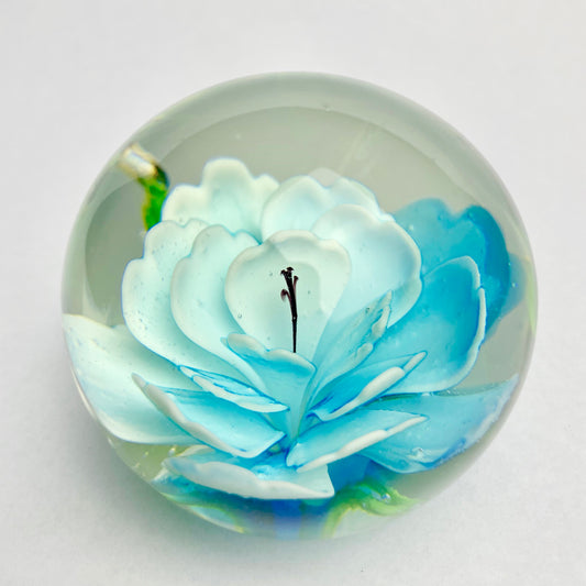 Art Glass Paperweight
