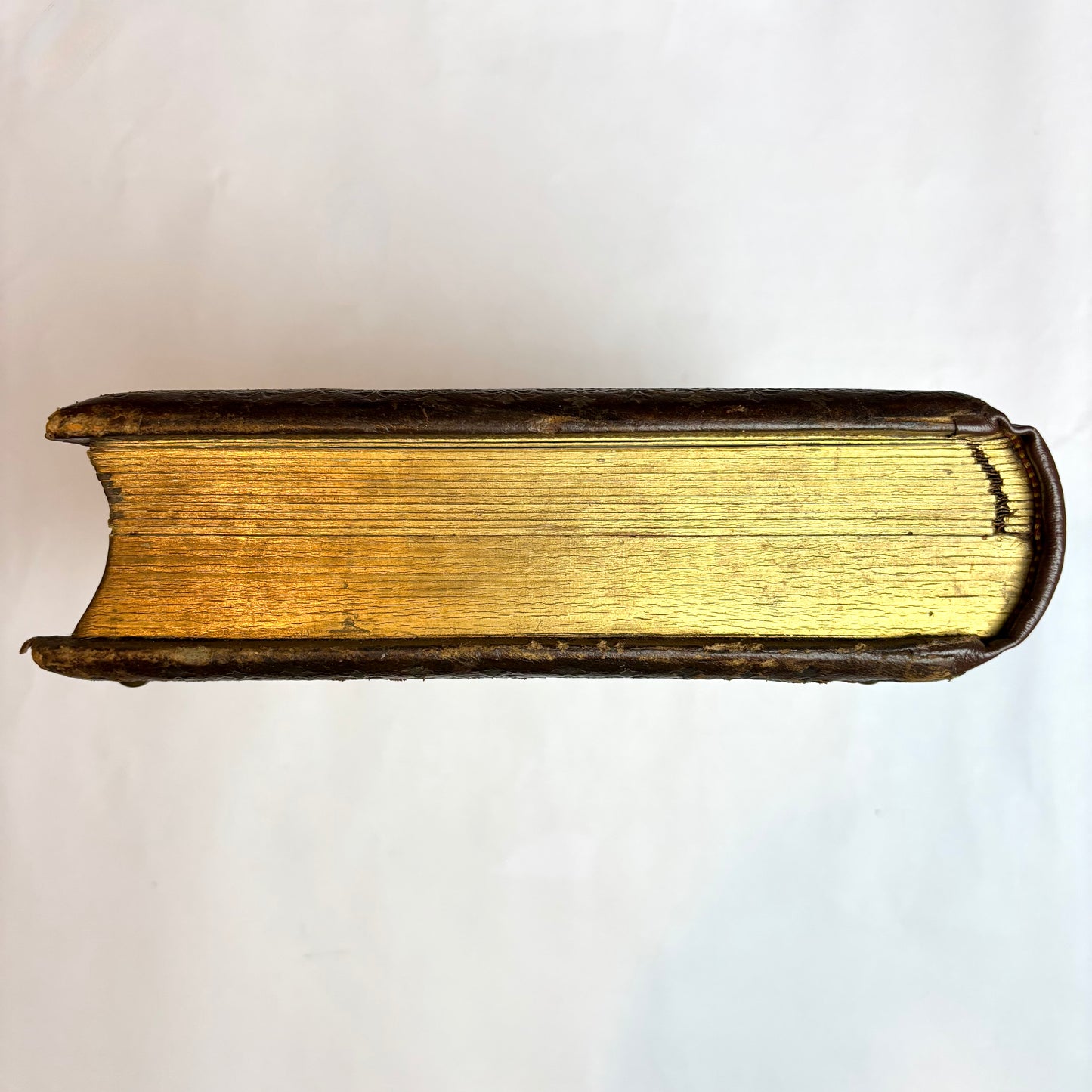 Antique Victorian Musical Photo Album c.1880 — Gilt Leather with Working Brass Clasp