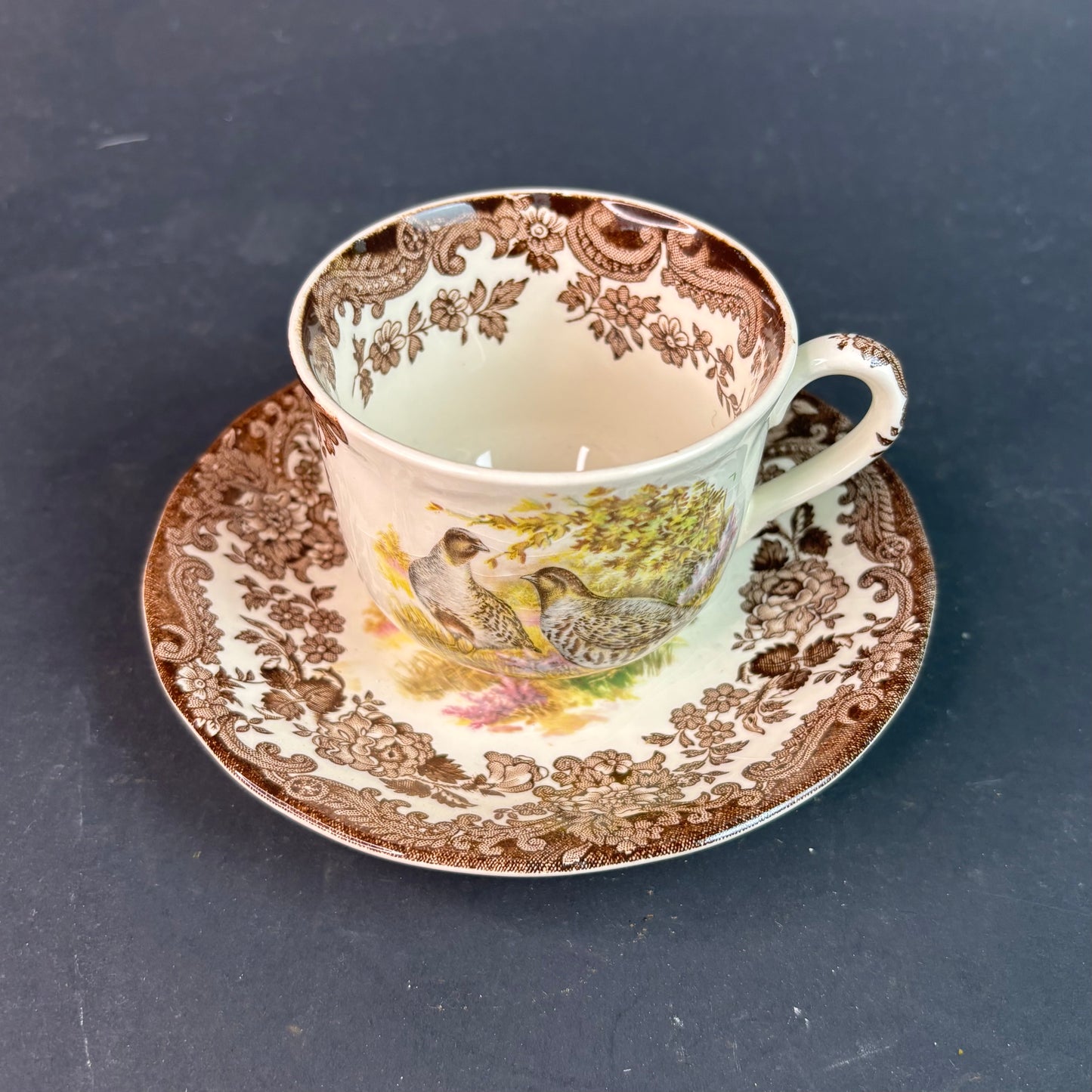 Royal Worcester Palissy “Game Series” Cup & Saucer – Partridge & Duck – England