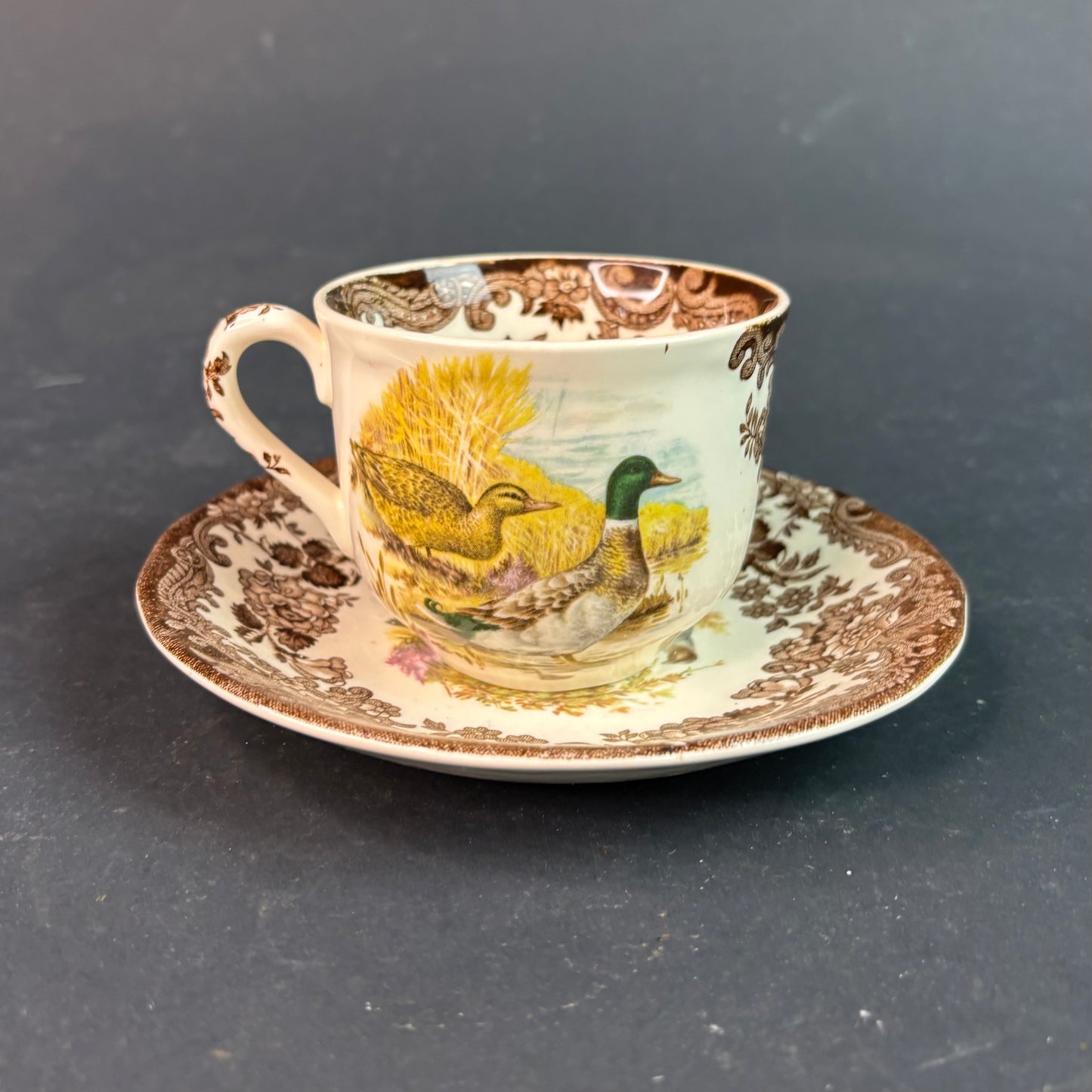 Royal Worcester Palissy “Game Series” Cup & Saucer – Partridge & Duck – England