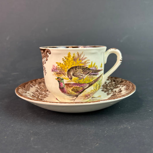 Royal Worcester Palissy “Game Series” Cup & Saucer – Pheasant & Snipe – England