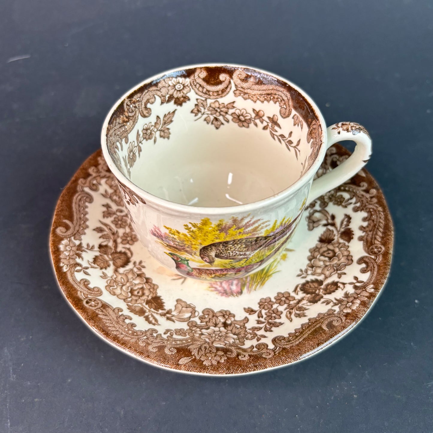 Royal Worcester Palissy “Game Series” Cup & Saucer – Pheasant & Snipe – England
