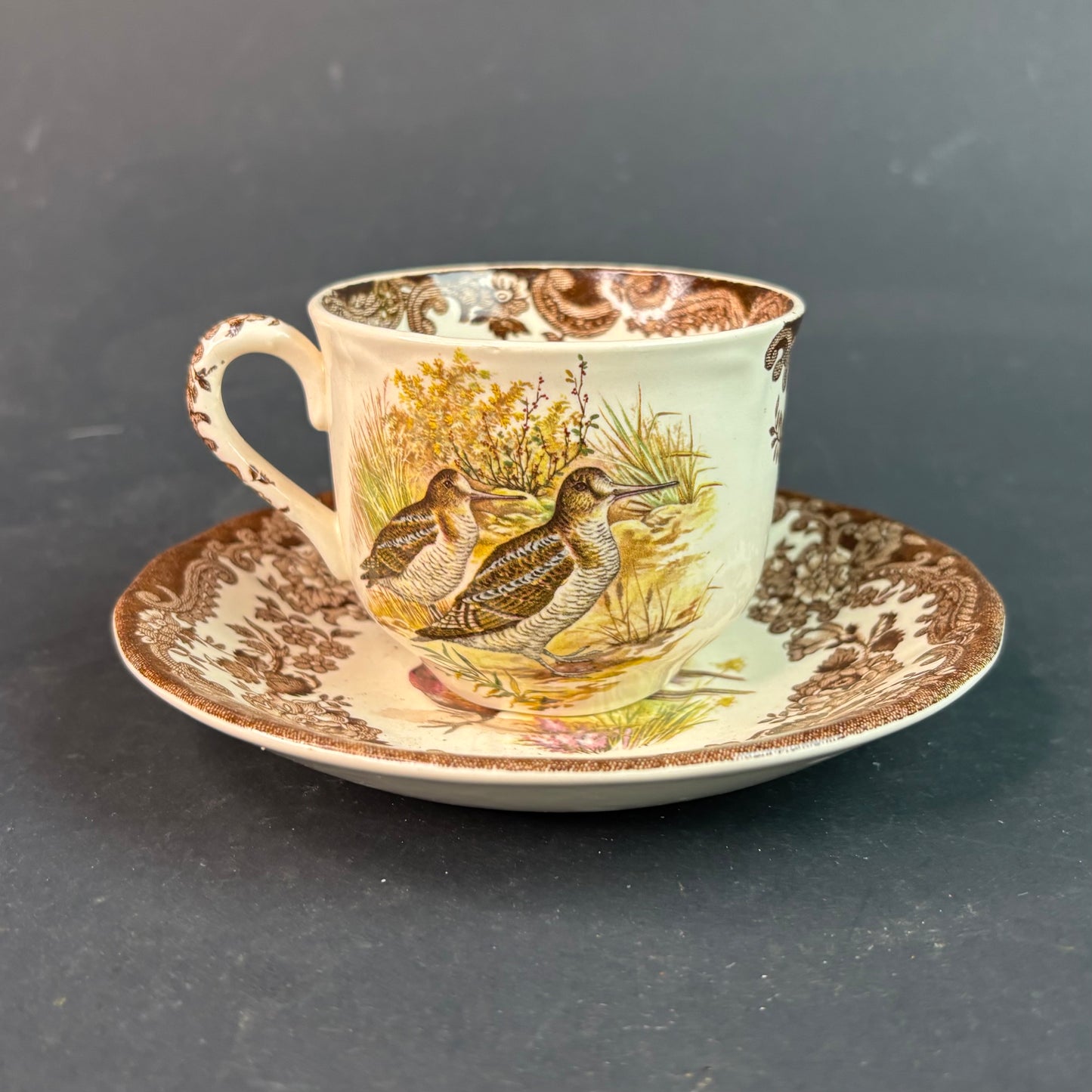 Royal Worcester Palissy “Game Series” Cup & Saucer – Pheasant & Snipe – England