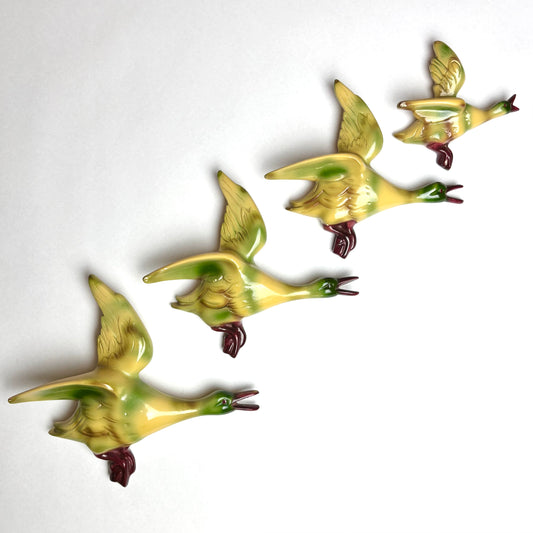 Flight of Wall Ducks