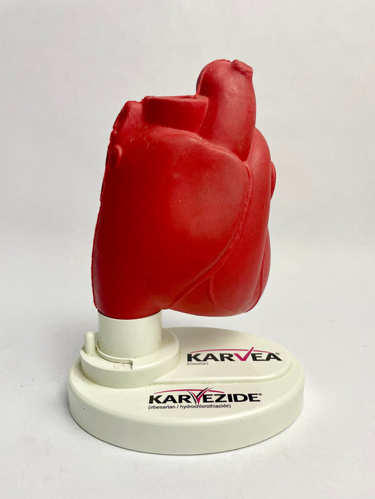 Medical Heart Model