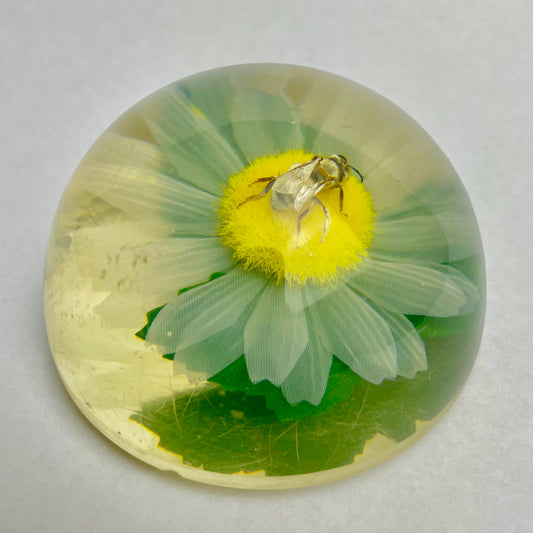 Acrylic Paperweight