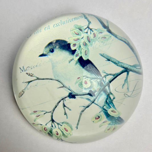 Art Glass Paperweight