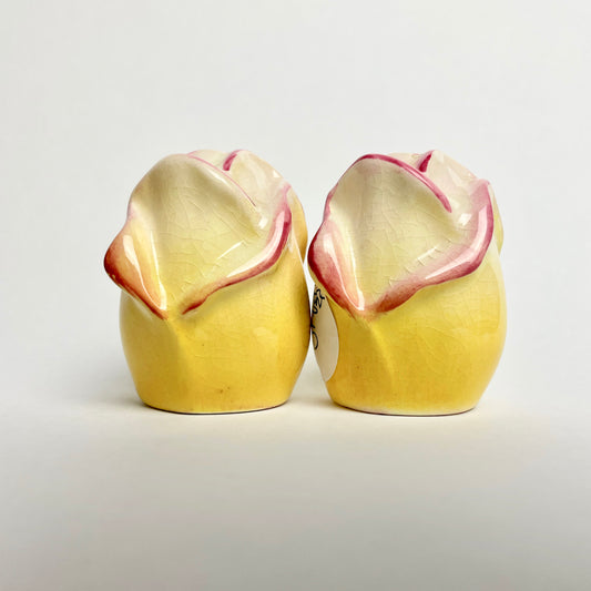Royal Winton Rose Bud Salt & Pepper Shakers