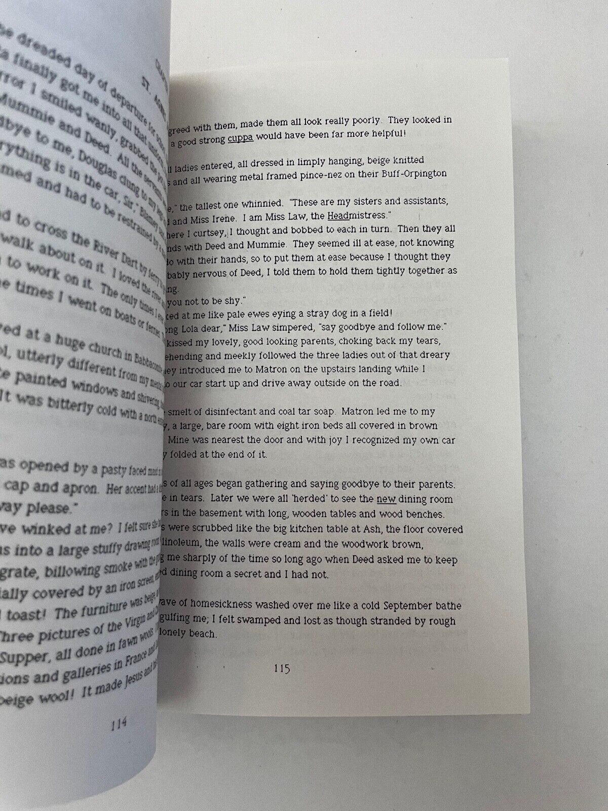 Strewth by Lola Montagu-Wyatt