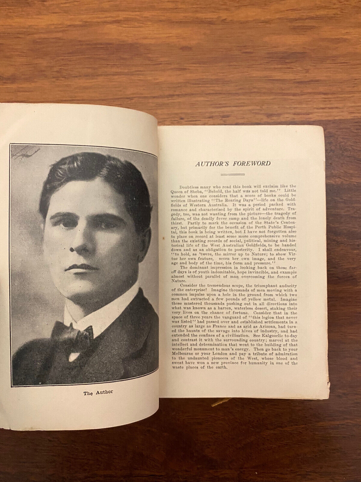 Golden Days by Jules Raeside (Softcover, 1929)