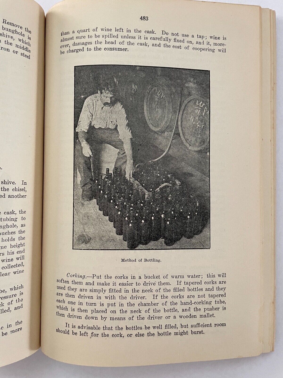 The Handbook of Horticulture & Viticulture of Western Australia by A Despeissis