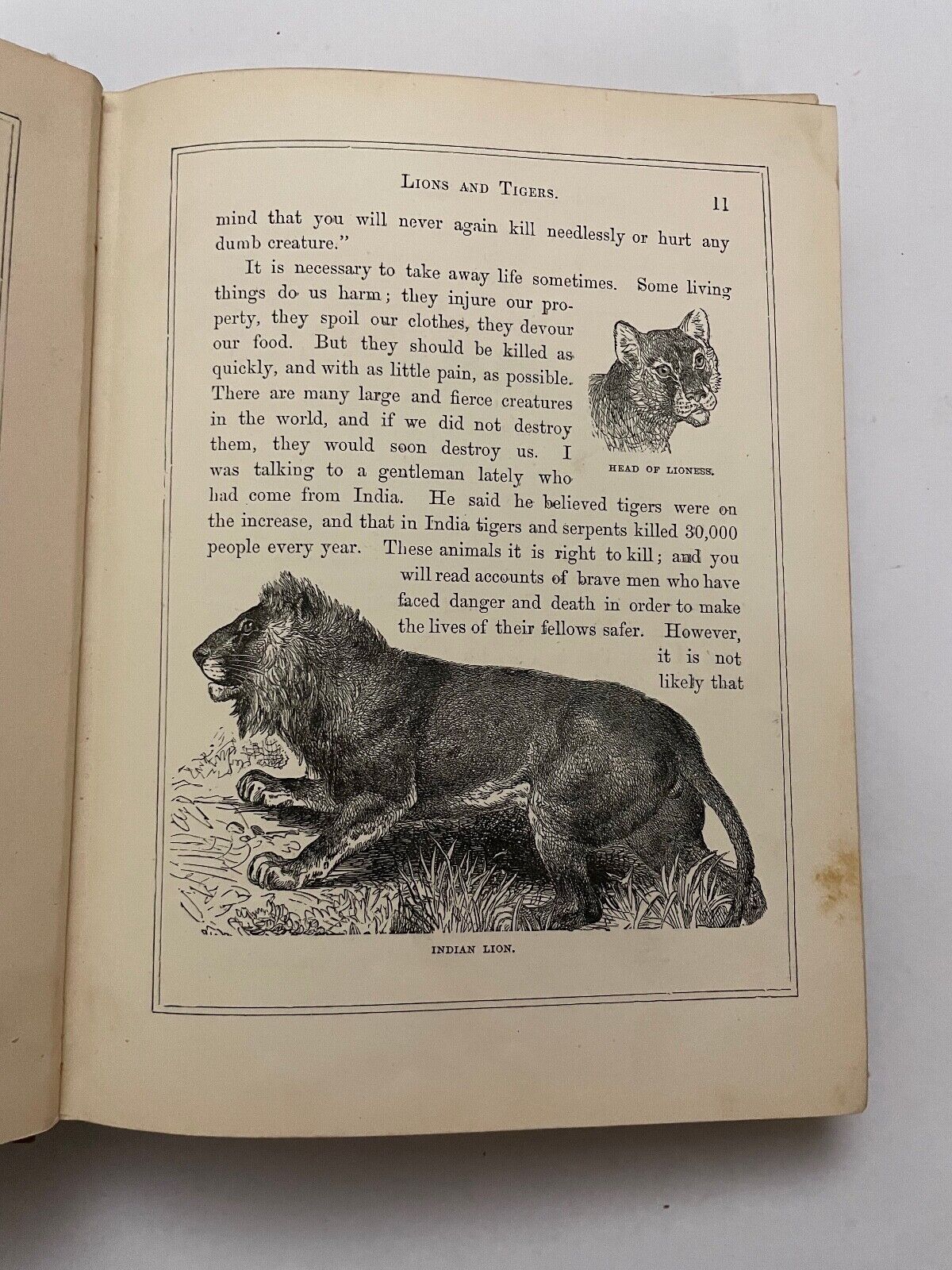 Field Friends and Forest Foes [With Illustrations] 1877