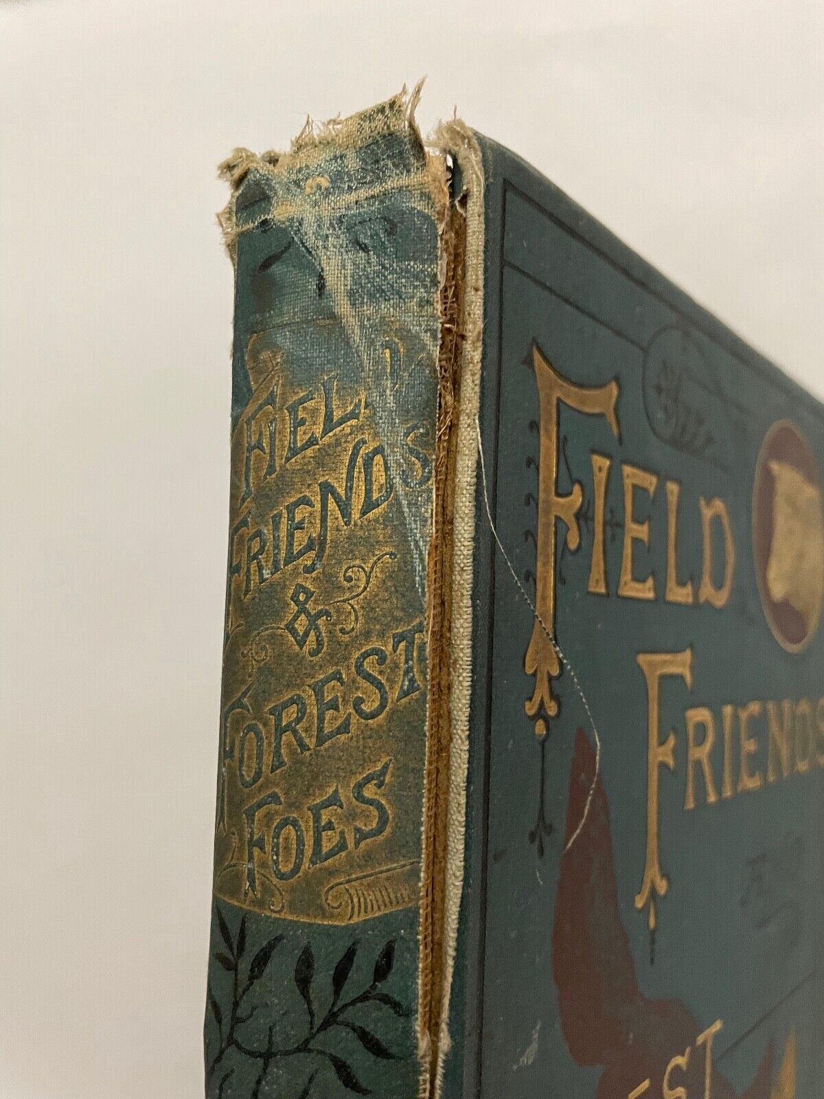 Field Friends and Forest Foes [With Illustrations] 1877