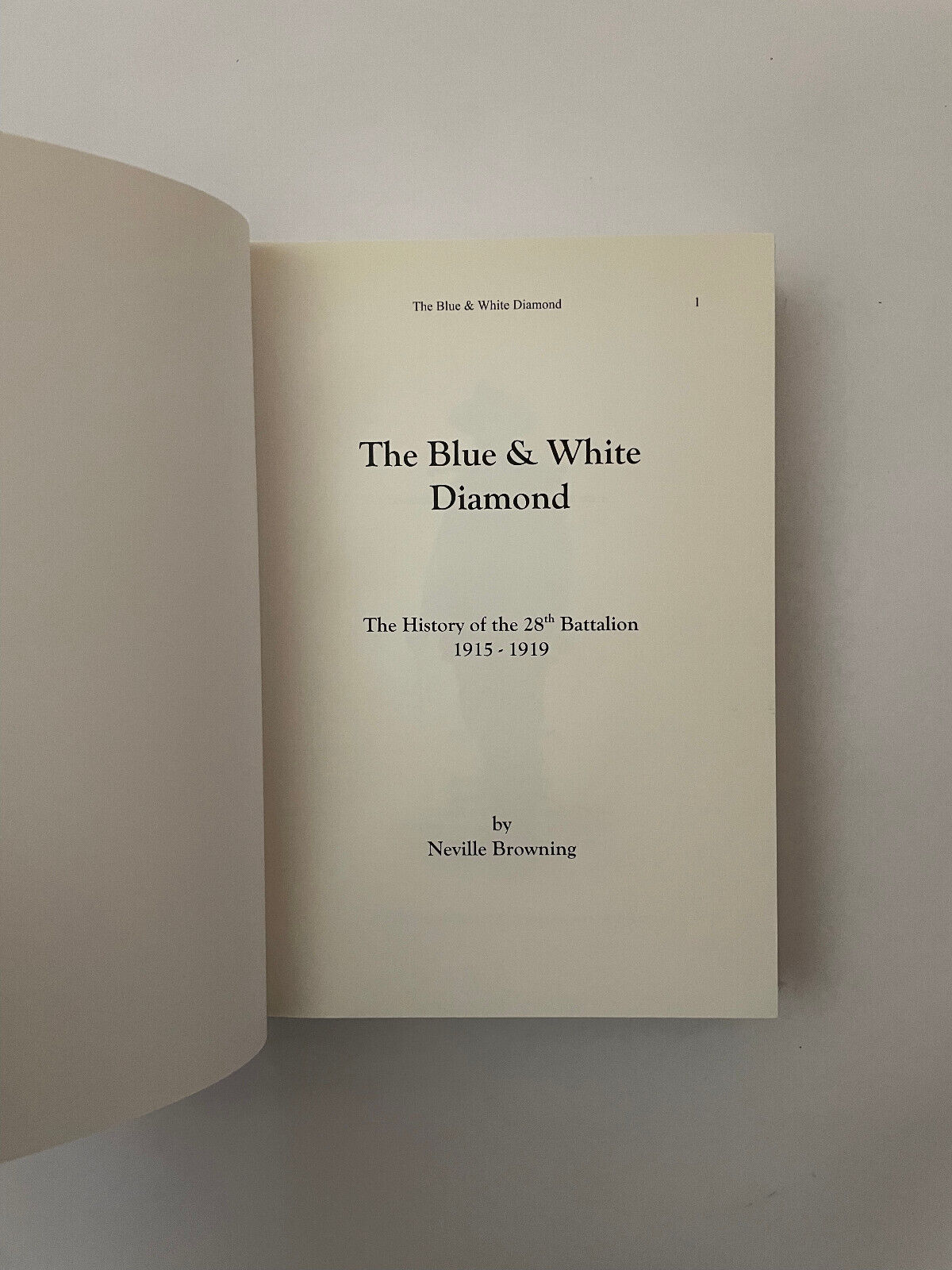 THE BLUE & WHITE DIAMOND by Neville Browning