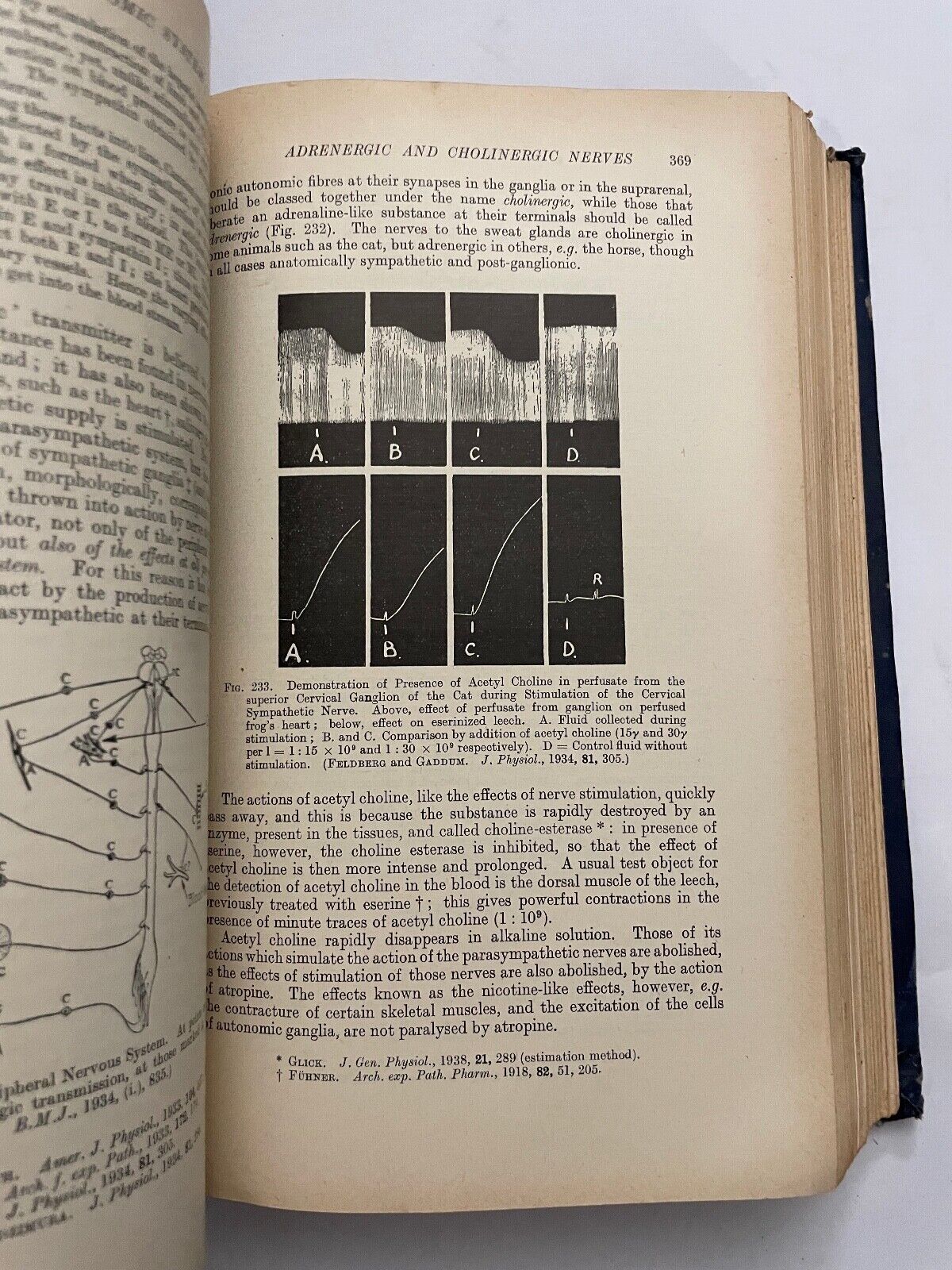 Starling's Principles of Human Physiology by G Lovatt Evans 1941