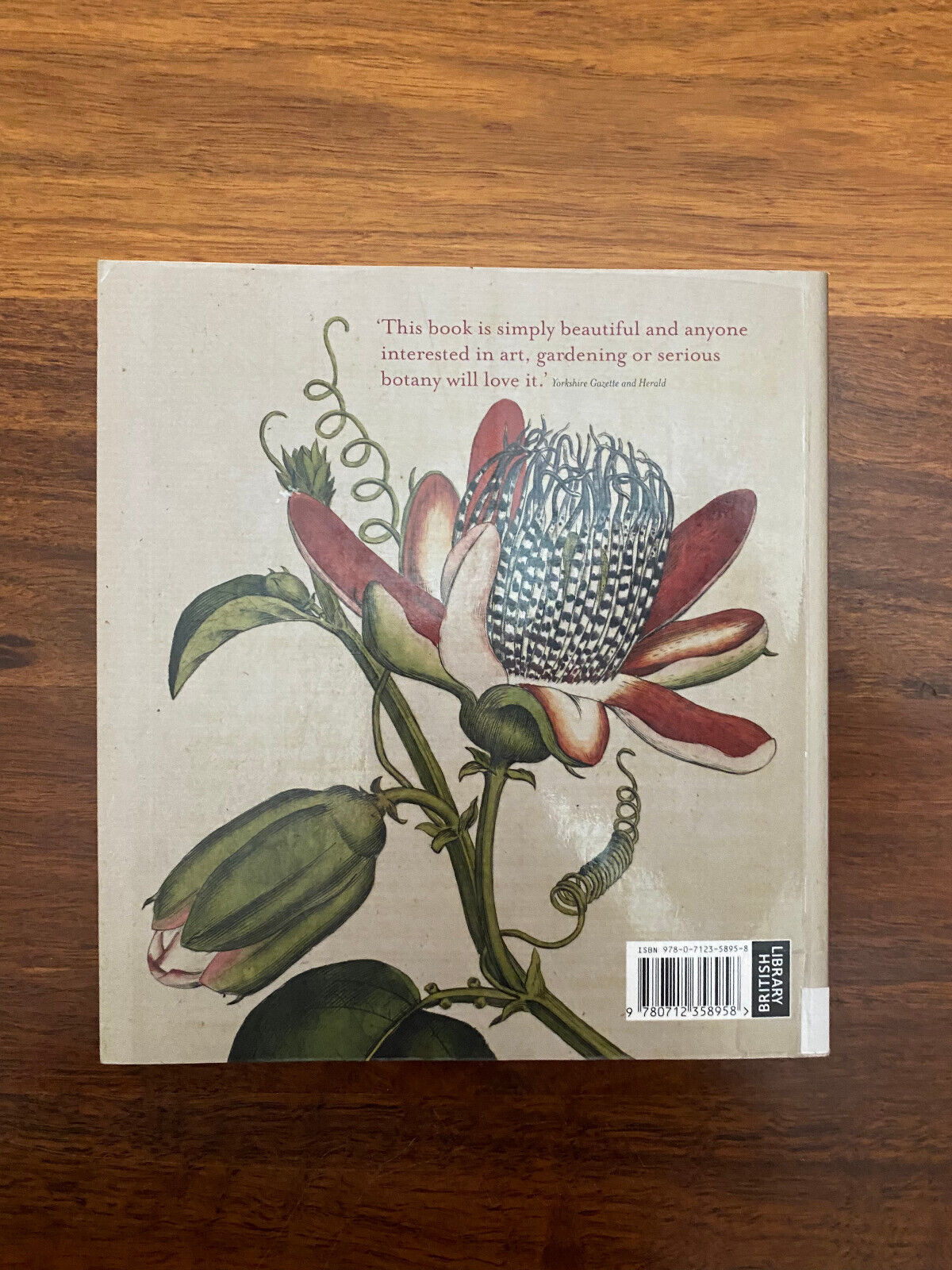 The Golden Age of Flowers: Botanical Illustration in the Age of