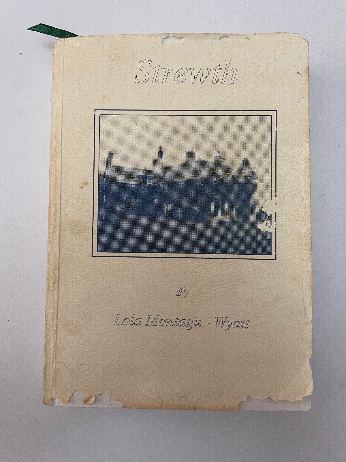 Strewth by Lola Montagu-Wyatt