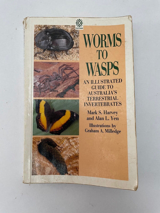 Worms to Wasps: An Illustrated Guide to Australia's Terrestrial Invertebrates by
