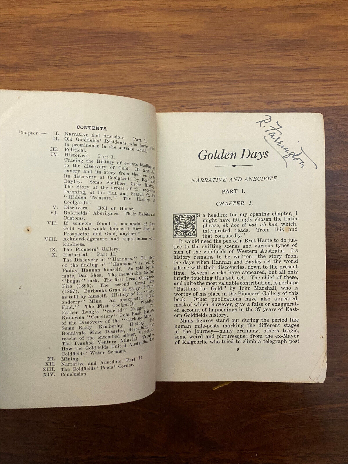 Golden Days by Jules Raeside (Softcover, 1929)